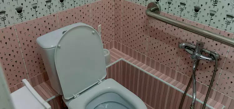 Meeting Diverse Needs With Accessible Restroom Solutions in Valparaiso, IN
