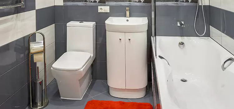 Hansgrohe Shaving Mirror Valparaiso